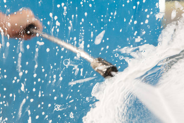 Best Animal Enclosure Cleaning  in Niceville, FL